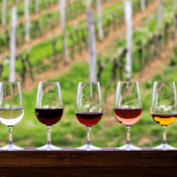 Wine tasting